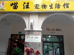 九亭喵汪-喵汪宠物生活馆(涞坊路店)