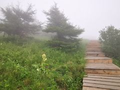 -白草畔自然风景区