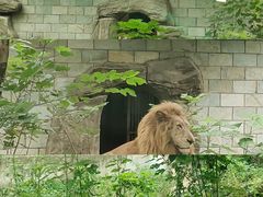 -南昌动物园