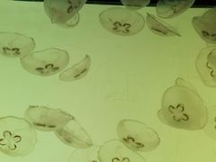 -沈阳海洋探索中心