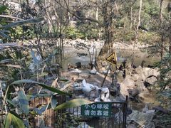 -杭州动物园