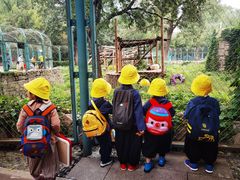 -合一书院国际幼儿园