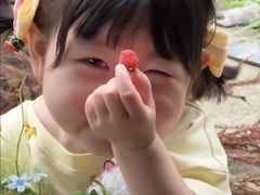 -重庆川渝肥妹火锅