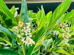 -云溪植物园