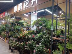 -大自然花鸟鱼虫市场
