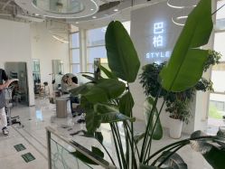 点击看大图 -巴柏style·明星