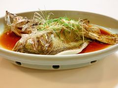 -首钢一九一九大酒楼(石景山店)
