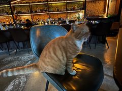 -CHURCH  BISTRO 教堂·餐吧