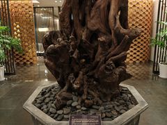 -彩丰楼中餐厅(佘山世茂洲际酒店)