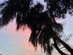 -玫瑰海岸文化旅游度假区