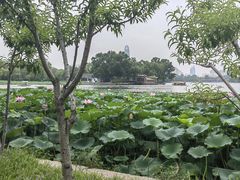 -济南大明湖景区
