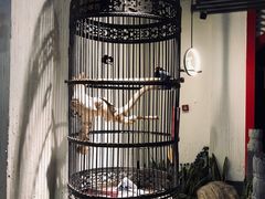 -清真·京华源铜锅涮肉(丰庆店)