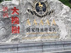 -大槐树寻根祭祖园