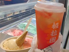 -极拉图·现制冰淇淋(大卫城店)