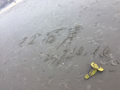 -黄金海岸