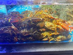 -徐记海鲜(大雁塔|金都店)