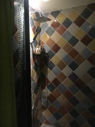 -琦品高端美容SPA会所