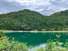 -武陵山森林公园