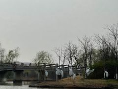 -苏州太湖国家湿地公园