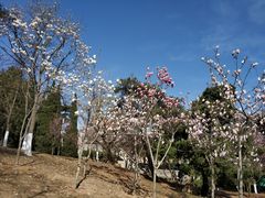 -大连植物园
