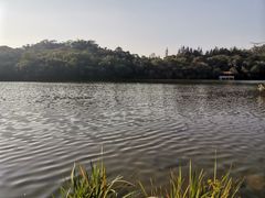 -净行天厨(莲塘总店)