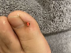 -承启堂中医馆·推拿·针灸(成华馆)