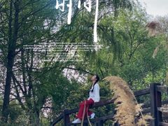 -苏州太湖国家湿地公园