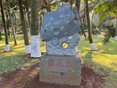 -临高角
