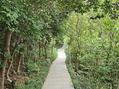 -小南山公园