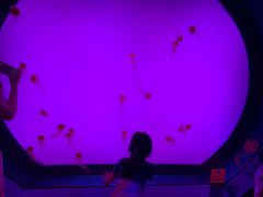 -沈阳海洋探索中心