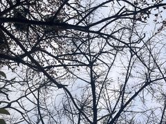-喜洲吧·江畔老船厂·庭院餐厅(喜临院店)