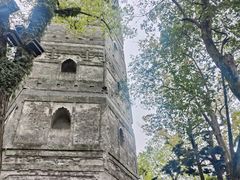 -江心屿景区