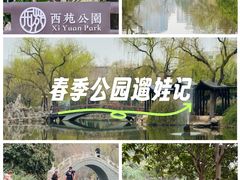 -西苑公园