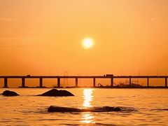 -宝安西湾红树林湿地公园