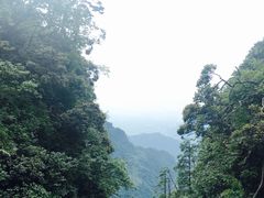-幸福树餐厅