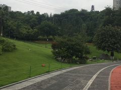 -龙头寺公园
