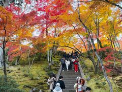 -常寂光寺