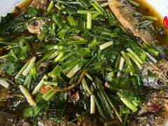 -陈有良尖椒鸡(江津总店)