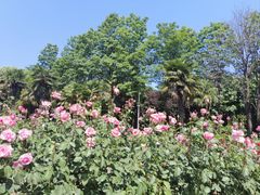 -洛阳市隋唐城遗址植物园