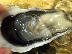 -HIHE Bistro·Oyster Bar(华熙live店)