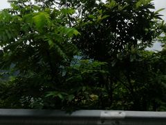 -千岛湖九龙溪漂流