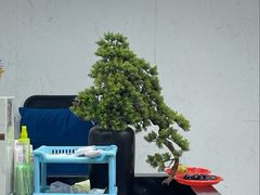 -凯平棋牌会所(永惠大厦店)