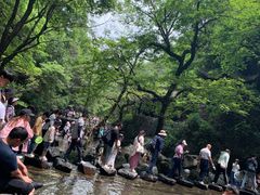 -石台牯牛降景区