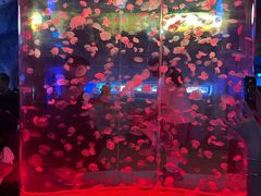 -台州海洋世界