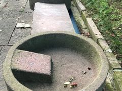 -蛇蟠岛
