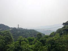 -南丹山森林王国