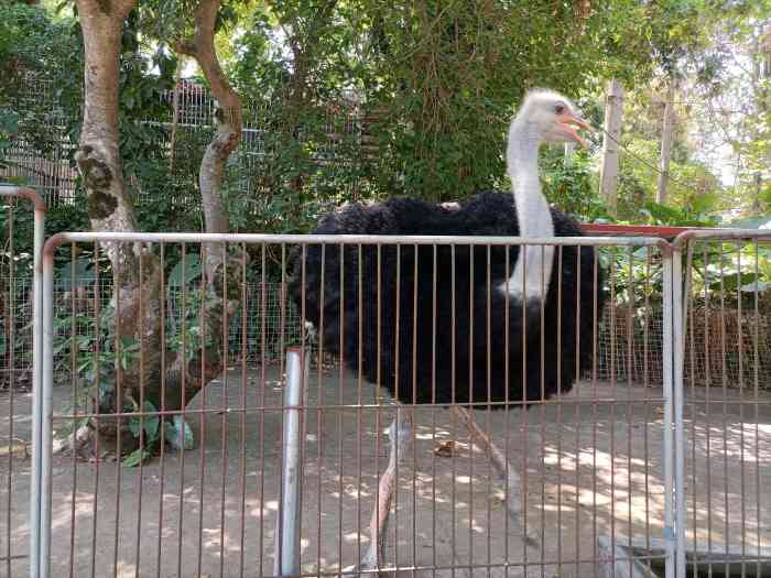 漳州市動物園-