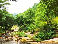 -武汉姚家山旅游景区
