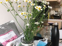 洋甘菊-花十悦·鲜花咖啡餐厅(振业城一期店)