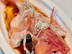 -鲁班张葱烧海参(马庄街店)